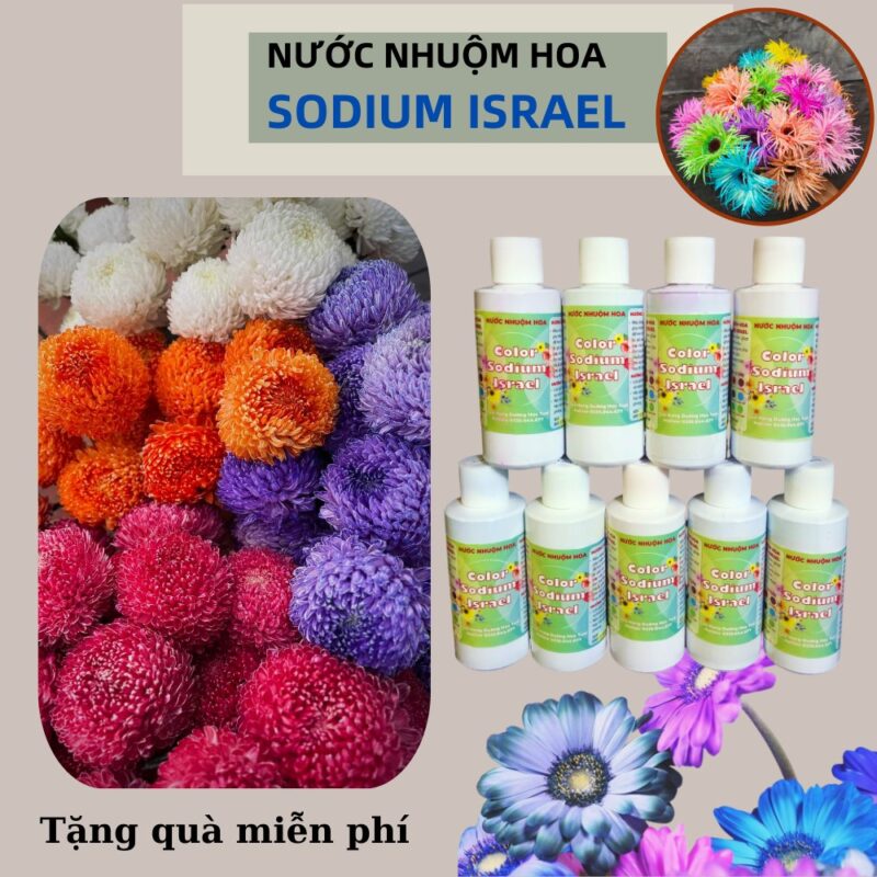 Màu nhuộm hoa tươi The Sodium ISRAEL chai 100ML đổi màu hơn 20 bông, nước nhuộm hoa pha sẵn