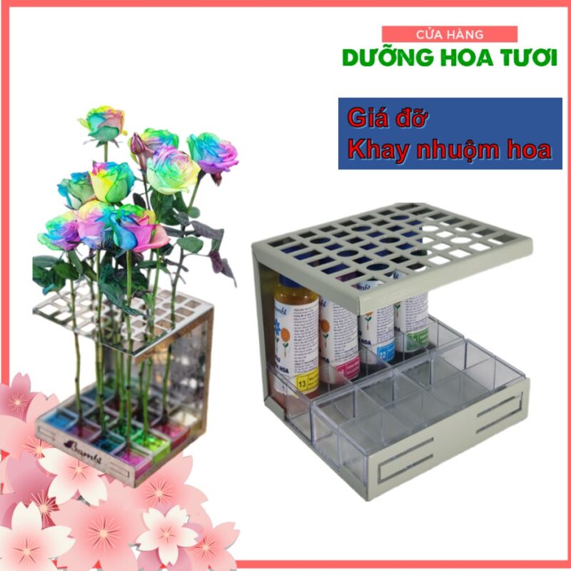 Khay nhuộm lớ 12 ô