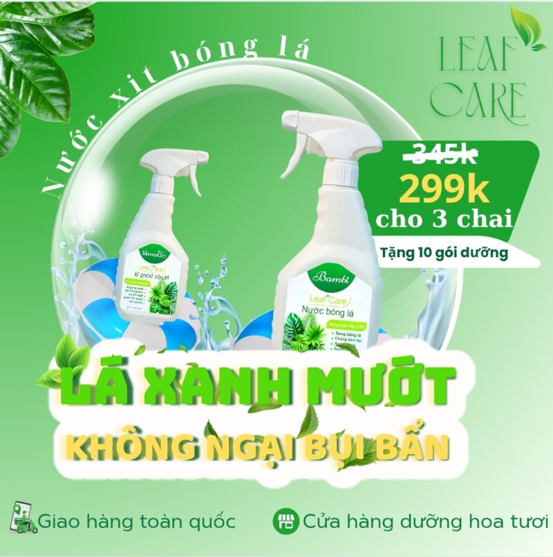 Xịt bóng lá Bambi Shine 500ml tạo độ bóng tự tự nhiên cho lá, không mùi và ngừa côn trùng