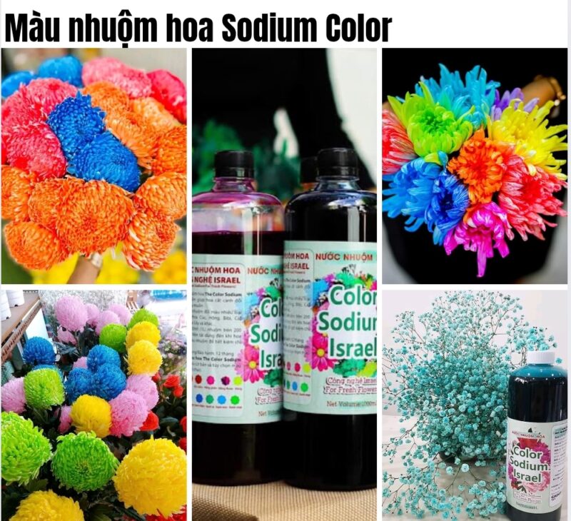 combo 10 chai Nước nhuộm hoa tươi The Sodium Israel chai 1L nhuộm hơn 300 bông, màu nhuộm hoa tươi