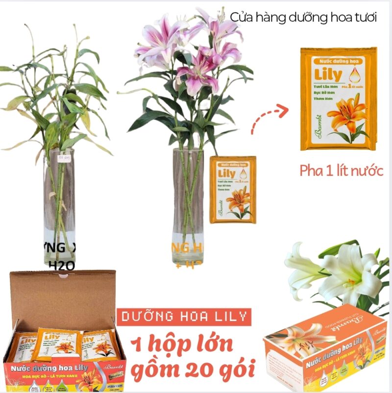 Gói dưỡng hoa Bambi chuyên cho hoa Lily