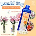 Chai dưỡng hoa lily 450ml