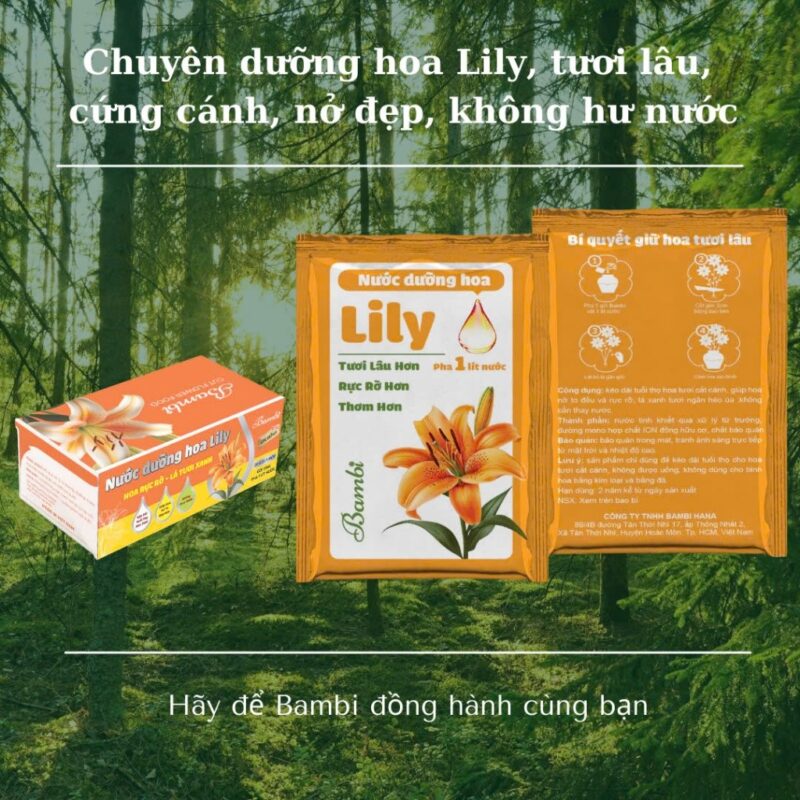 dưỡng lily