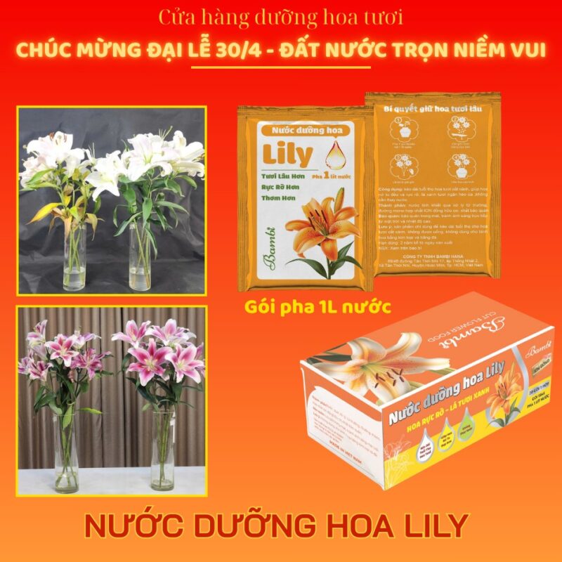 Thùng 500 gói dưỡng hoa Bambi chuyên cho hoa lily
