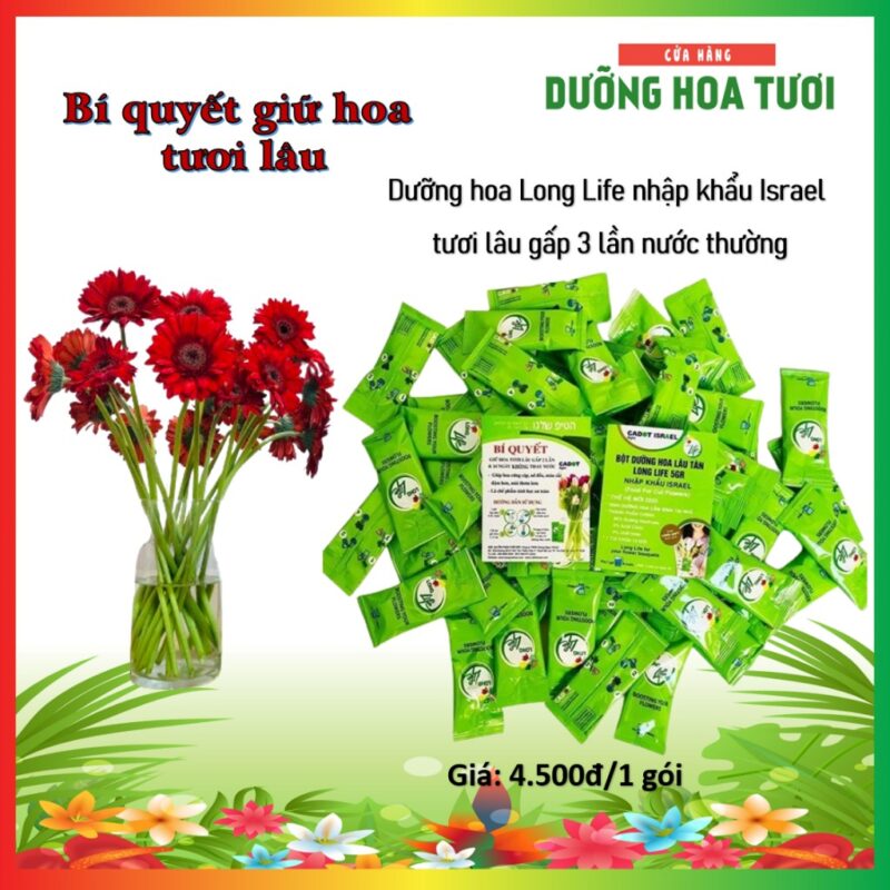 Gói dưỡng hoa tươi lâu Longlife nhập khẩu Israel, thuốc dưỡng hoa lâu tàn