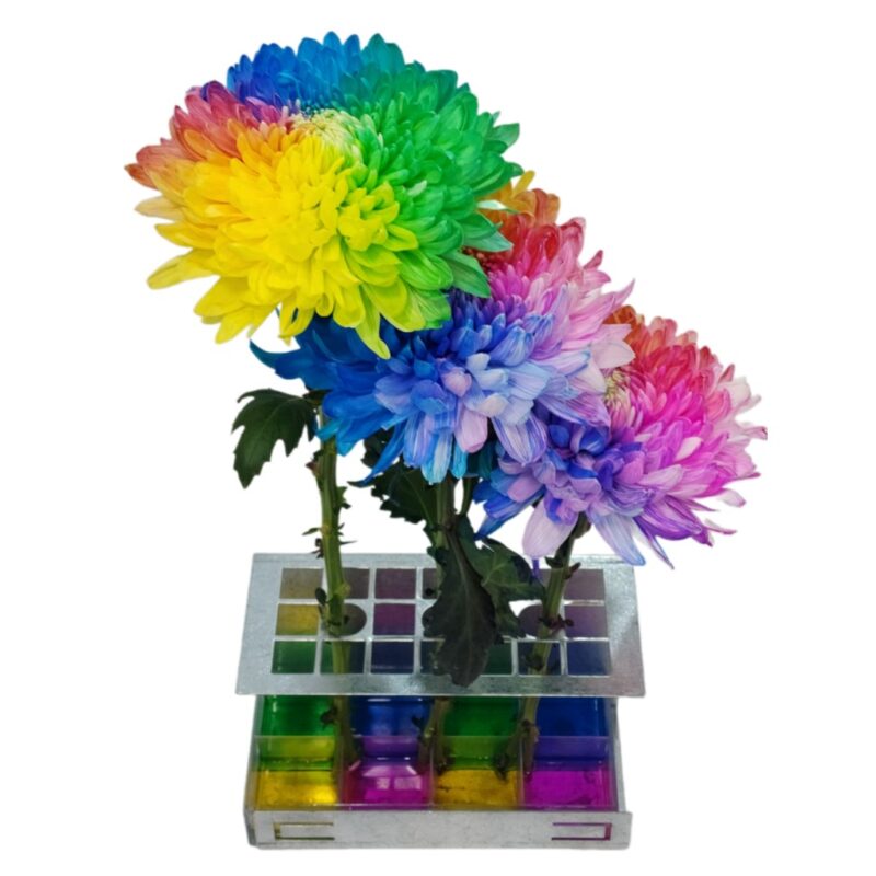 khay nhuộm nhỏ và giá đỡ nhuộm hoa cắt cành được nhiều màu