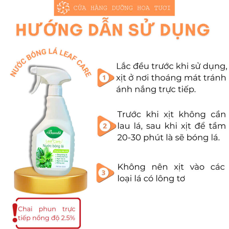 z6537546374352_72f85da25094c44557deac1f72de1a5d