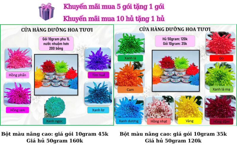 Hủ 50gr bột nhuộm hoa tươi nâng cao India pha 5L nước, thuốc nhuộm chuyên cho mọi loại hoa
